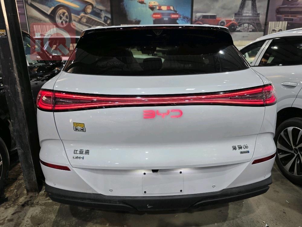 بي واي دي سيليون 06 DM-i